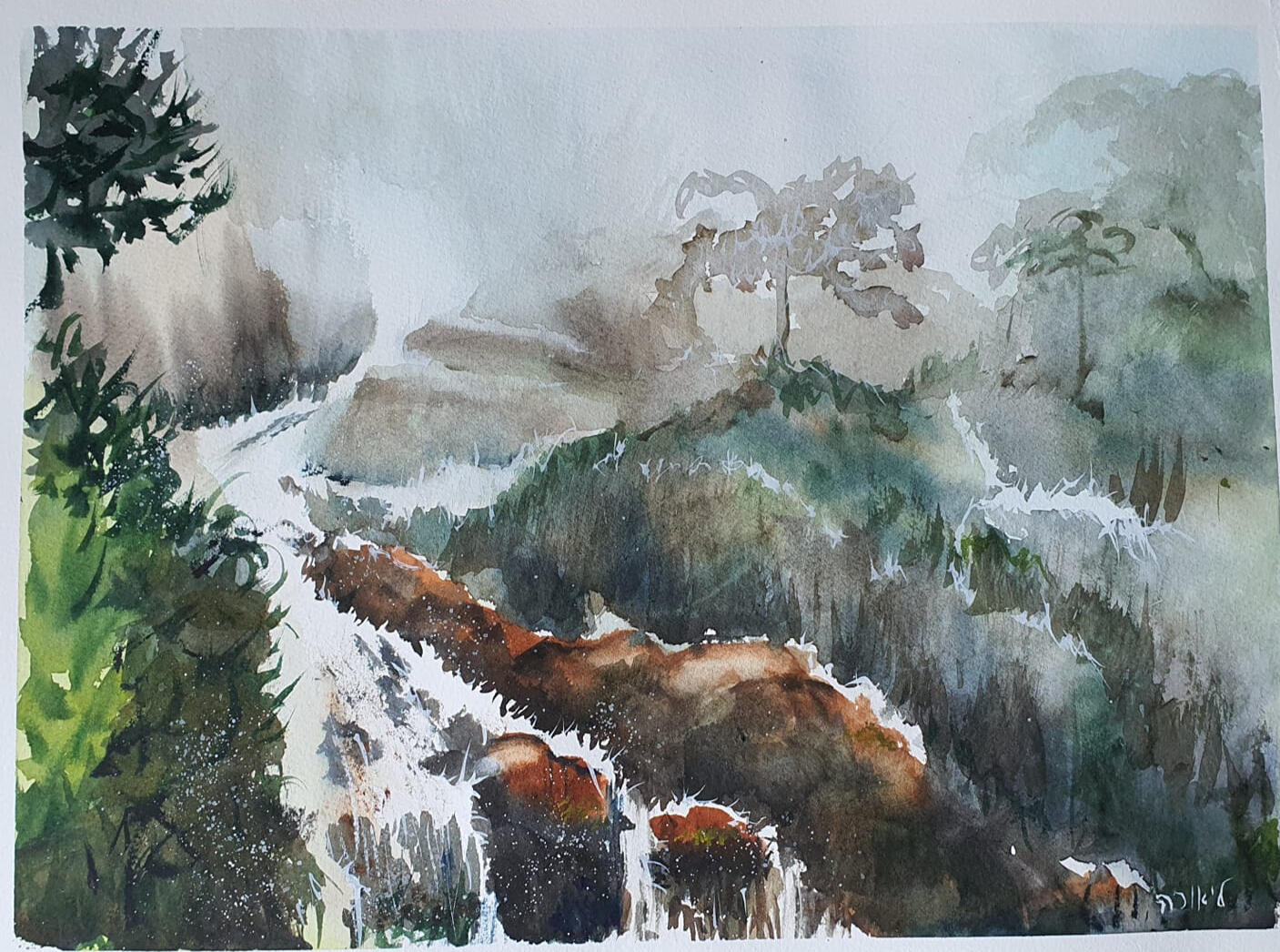 ליאורה ויסמן