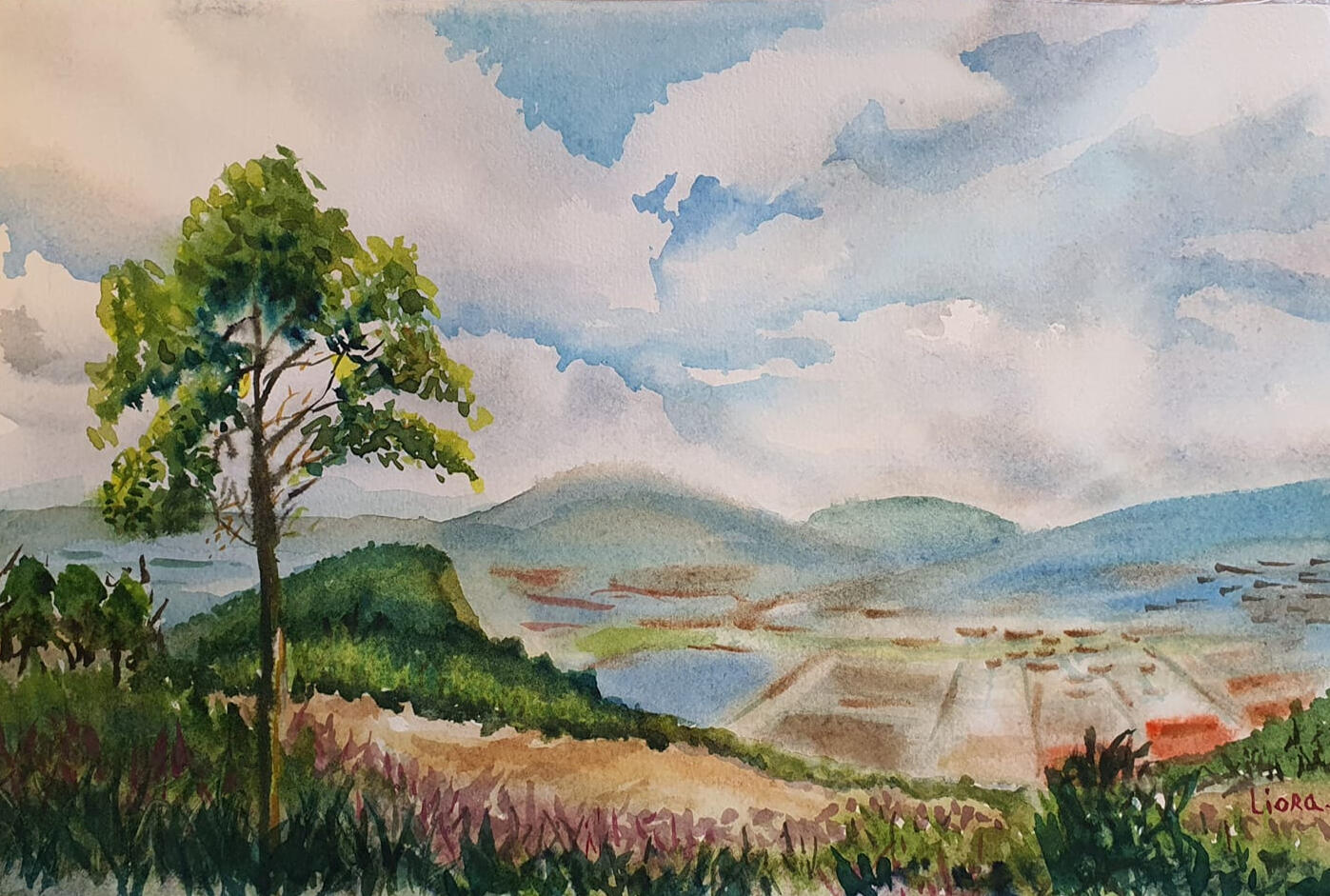 ליאורה ויסמן