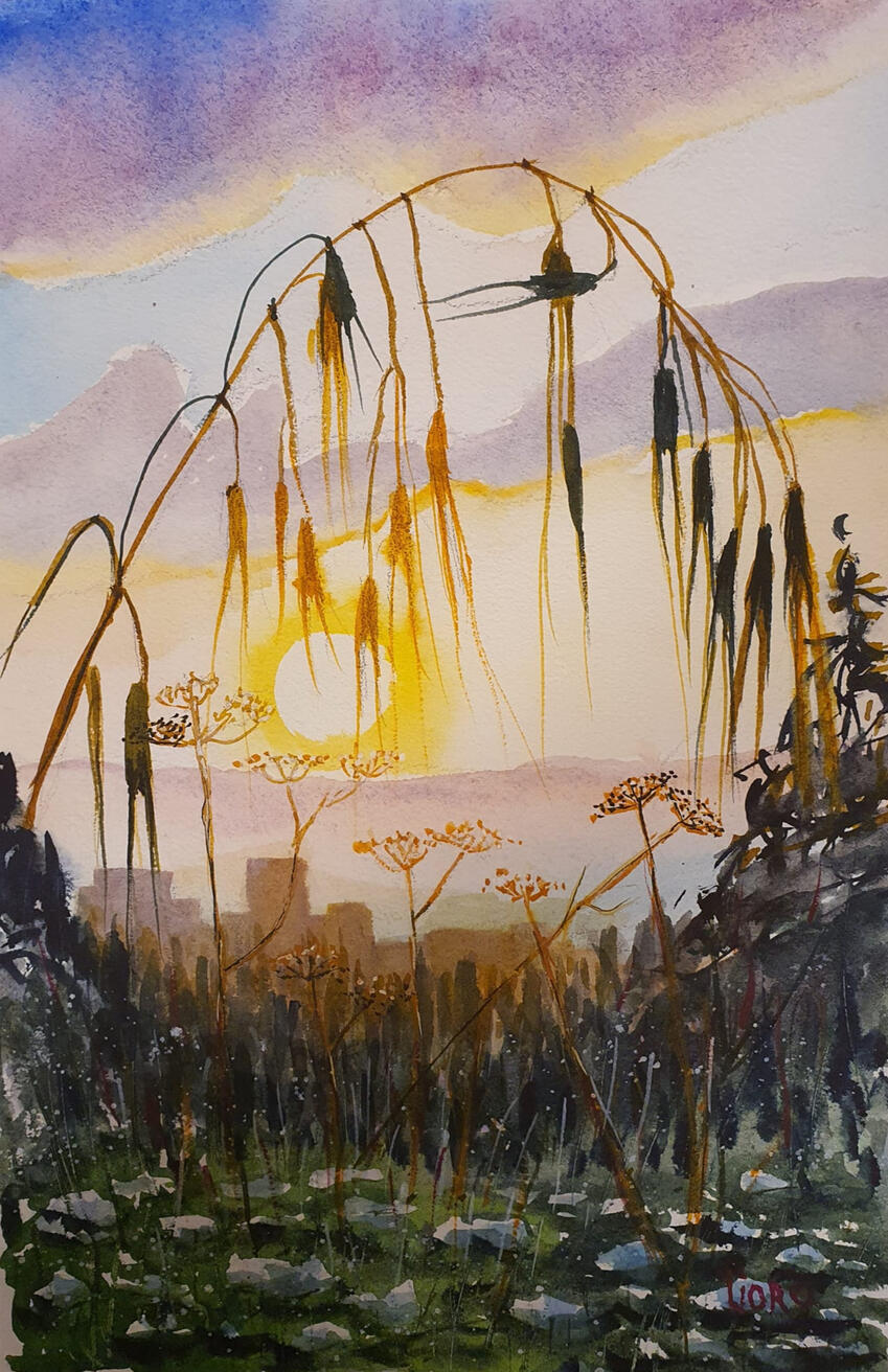 ליאורה ויסמן