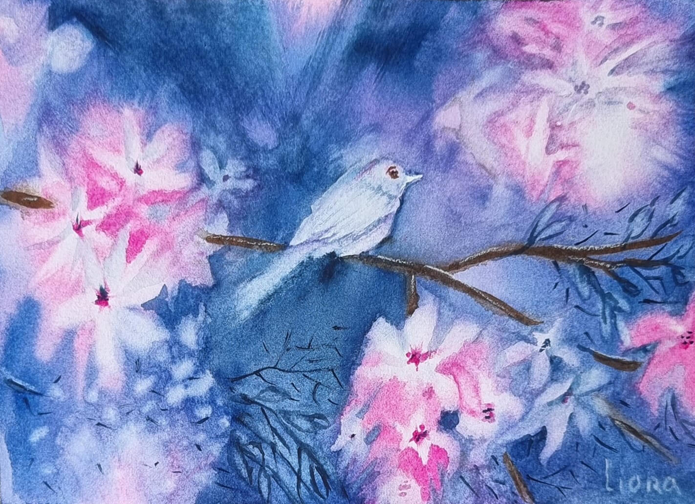 ליאורה ויסמן