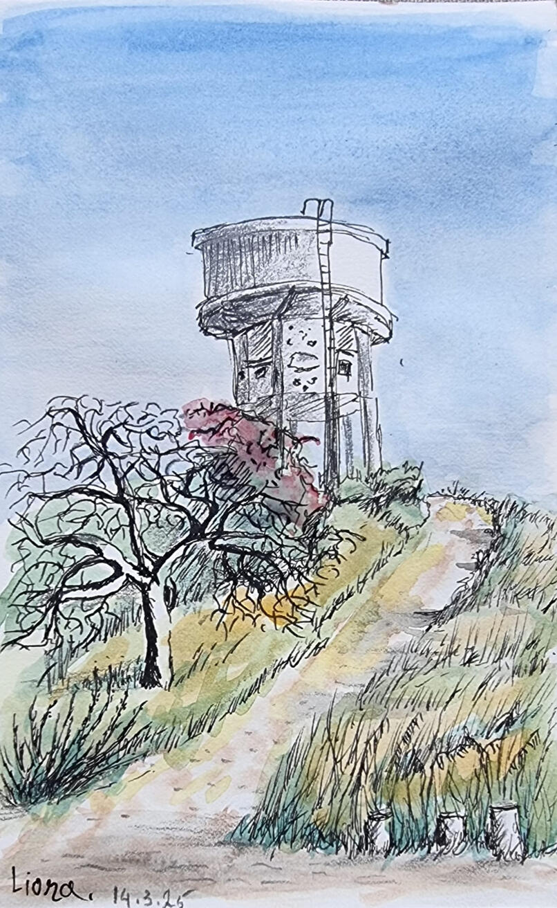 ליאורה ויסמן