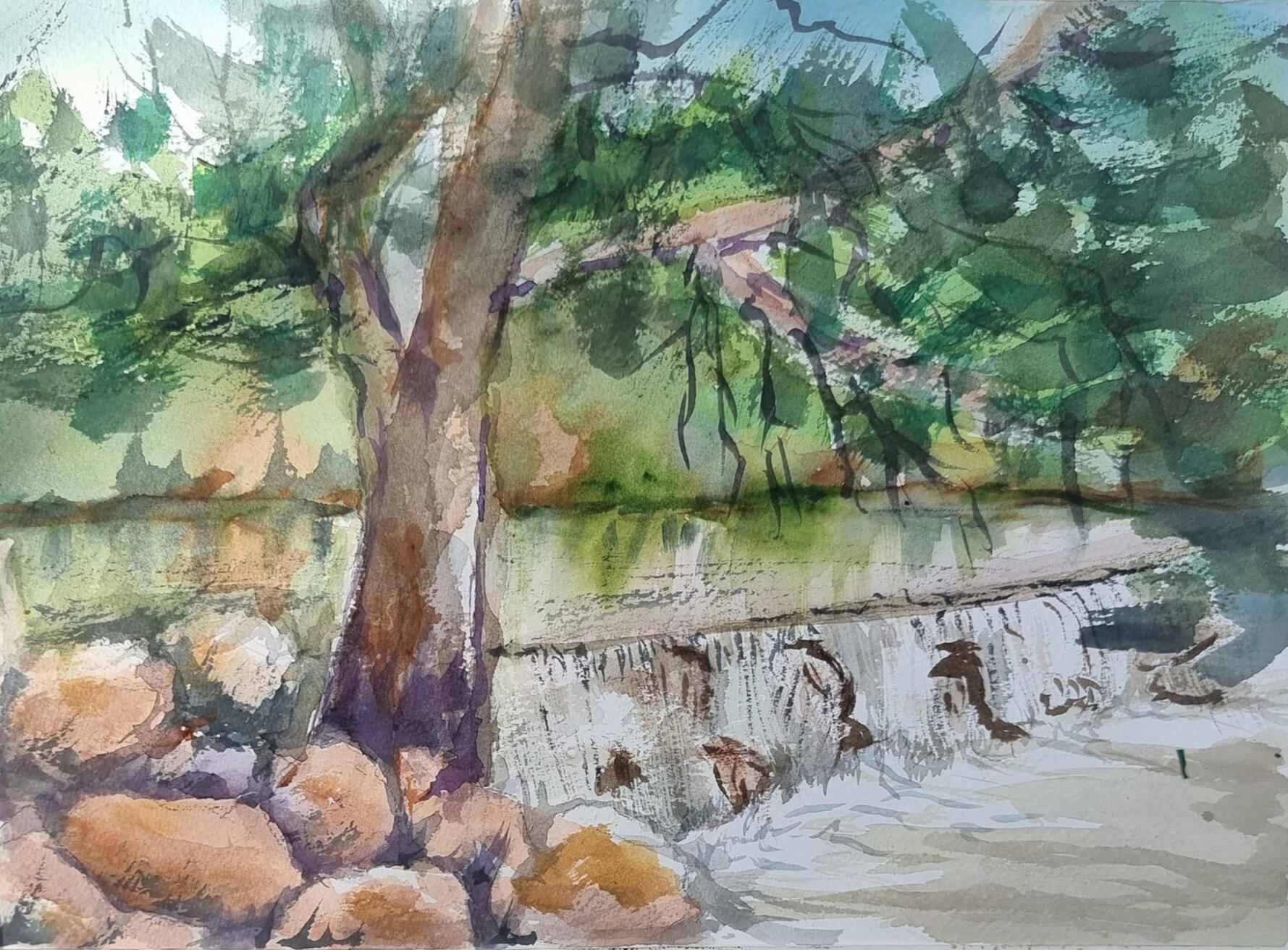 ליאורה ויסמן