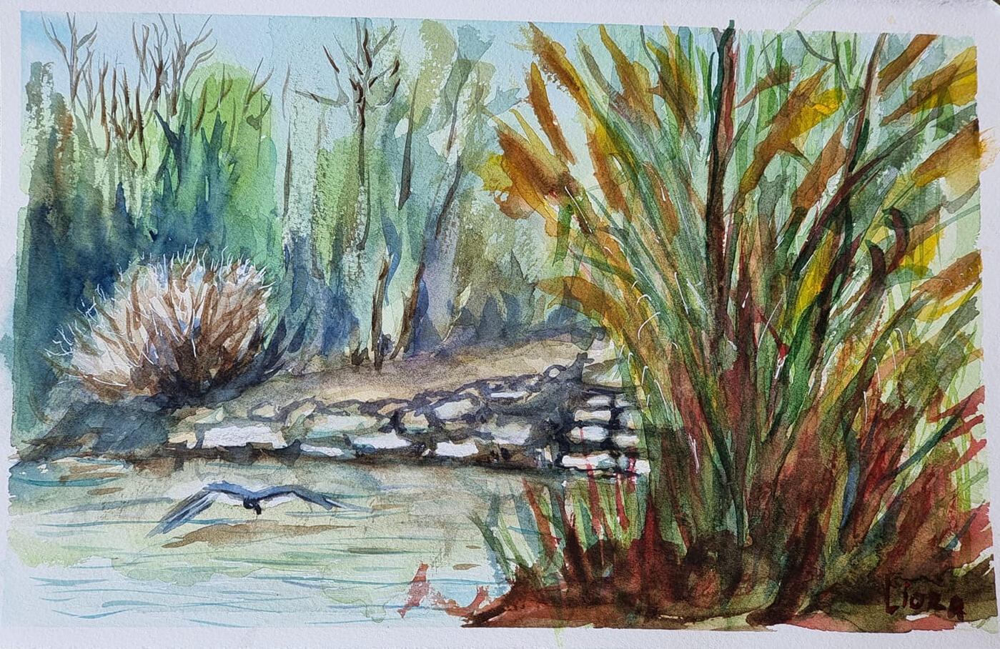 ליאורה ויסמן